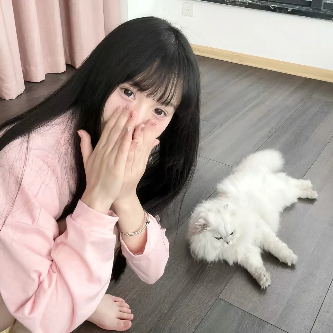 战舰春光